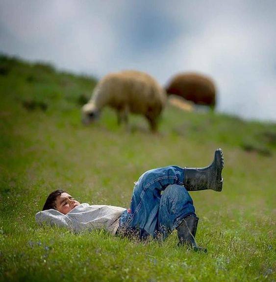 من قصص الطفولة